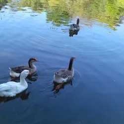 Parque Municipal do Trabalhador - Varginha