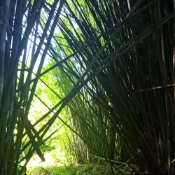 Parque Natural Municipal da Serra da Varginha - Varginha