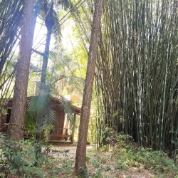 Parque Natural Municipal da Serra da Varginha - Varginha