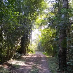 Parque Natural Municipal da Serra da Varginha - Varginha