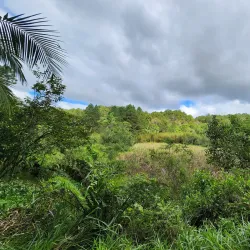 Parque Natural Municipal da Serra da Varginha - Varginha