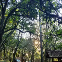 Parque Municipal de Videira - Videira