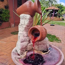 Rota do Vinho (Wine Route) - Videira