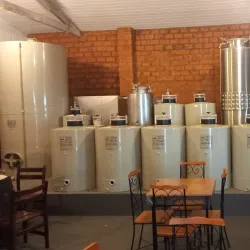 Vinícola Videira - Videira