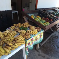 Feira do Produtor Rural - Vilhena