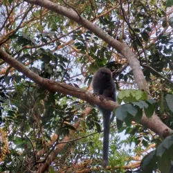 Parque Ecológico Municipal - Vilhena