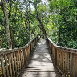 Parque Ecológico Municipal - Vilhena