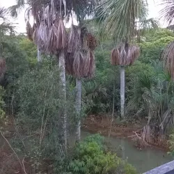 Parque Ecológico Municipal - Vilhena