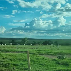 Rodovia BR-364 - Vilhena