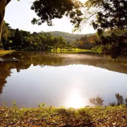 Fazenda Santa Maria - Vinhedo