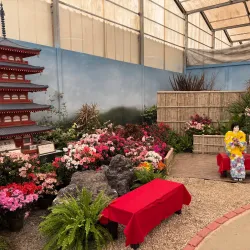 Festival de Flores e Morangos - Vinhedo