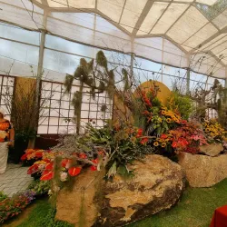 Festival de Flores e Morangos - Vinhedo