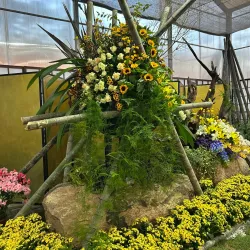 Festival de Flores e Morangos - Vinhedo