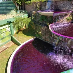 Parque da Cidade - Vinhedo