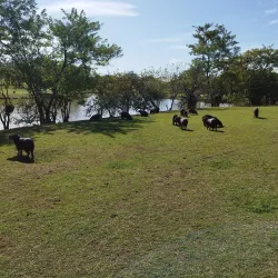 Parque Ecológico Monsenhor Bruno Nardini - Vinhedo
