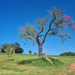 Parque Ecológico Monsenhor Bruno Nardini - Vinhedo