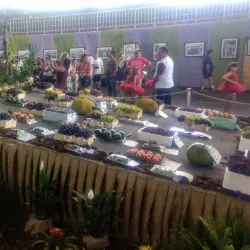 Parque Municipal Jayme Ferragut - Vinhedo