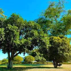 Parque da Cidade - Vitoria da Conquista
