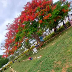 Parque da Cidade - Vitoria da Conquista