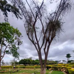 Parque da Cidade - Vitoria da Conquista