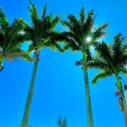 Parque da Cidade - Vitoria da Conquista