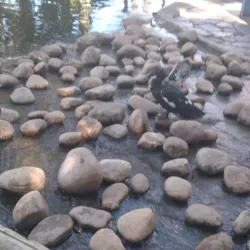 Praça Tancredo Neves - Vitoria da Conquista