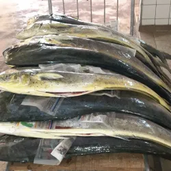 Mercado da Vila Rubim - Vitoria