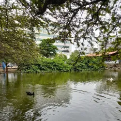 Parque Pedra da Cebola - Vitoria