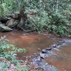 Parque Natural Municipal Fazenda da Posse - Volta Redonda