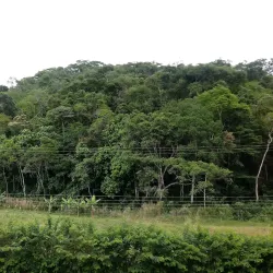 Parque Natural Municipal Morro da Conquista - Volta Redonda