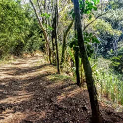 Parque Natural Municipal Morro da Conquista - Volta Redonda