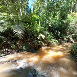 Parque Natural Municipal Morro da Conquista - Volta Redonda
