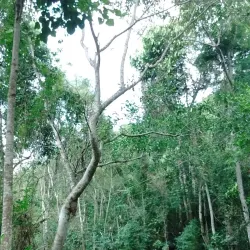 Parque Natural Municipal Morro da Conquista - Volta Redonda