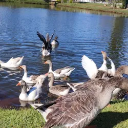 Parque Ecológico Municipal - Wenceslau Braz