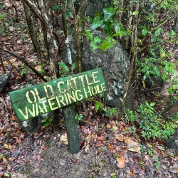 Sage Mountain National Park - Road Town