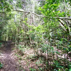 Sage Mountain National Park - Road Town