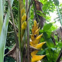 Sage Mountain National Park - Road Town