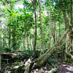 Sage Mountain National Park - Road Town