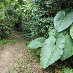 Sage Mountain National Park - Road Town