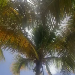 Smuggler's Cove Beach - Road Town