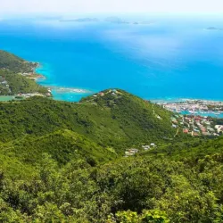 Sage Mountain National Park - Tortola
