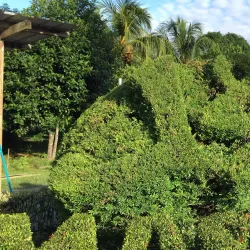 Bangar Mosque - Bangar