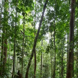 Bukit Patoi Recreational Park - Bangar