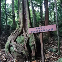 Bukit Patoi Recreational Park - Bangar