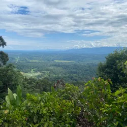 Bukit Patoi Recreational Park - Bangar