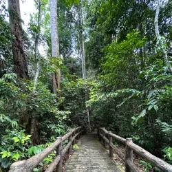 Bukit Patoi Recreational Park - Bangar