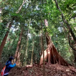 Bukit Patoi Recreational Park - Bangar