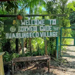 Kampong Belalong Rainforest - Bangar