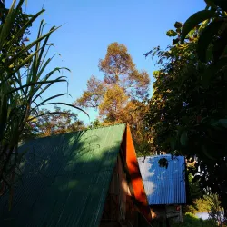 Kampong Belalong Rainforest - Bangar