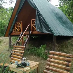 Kampong Belalong Rainforest - Bangar